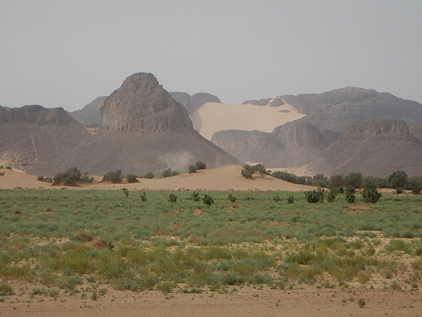 Raid Horizon Dune - Algerie 2026 by Amonzevo