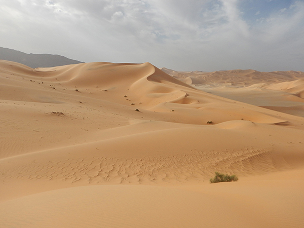 Raid Horizon Dune - Algerie 2026 by Amonzevo