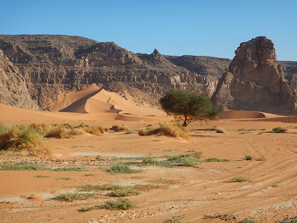 Raid Horizon Dune - Algerie 2026 by Amonzevo