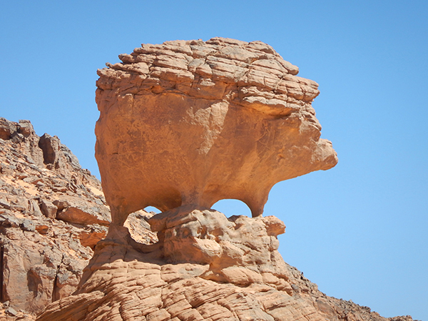 Raid Horizon Dune - Algerie 2026 by Amonzevo