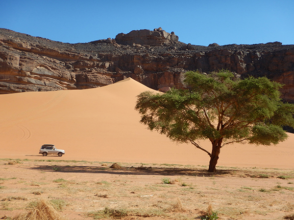 Raid Horizon Dune - Algerie 2026 by Amonzevo