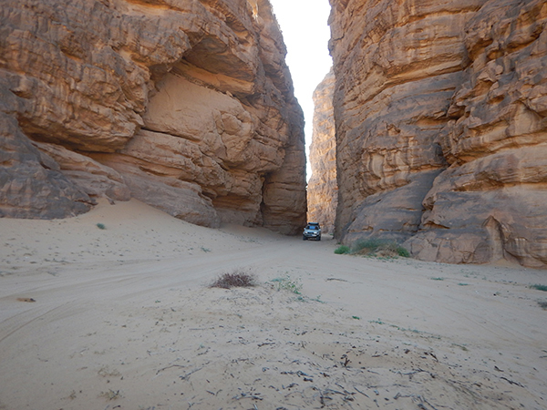 Raid Horizon Dune - Algerie 2026 by Amonzevo
