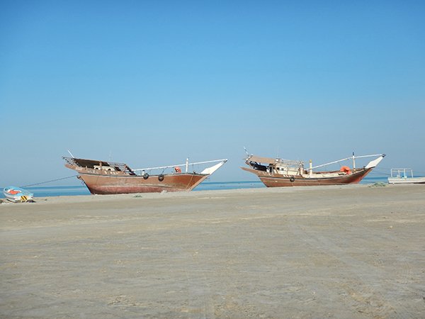 Raid Sultanat Oman by Amonzevo