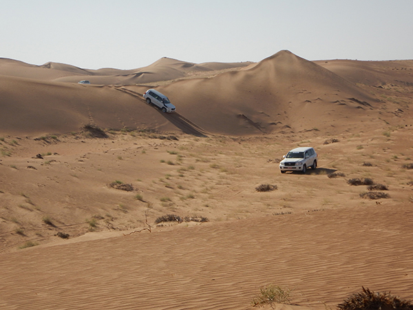 Raid Sultanat Oman by Amonzevo